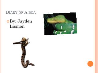 Diary of A boa