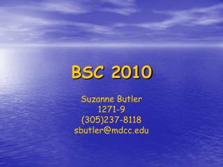 BSC 2010