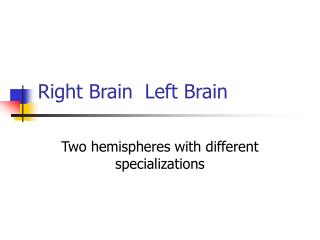 Right Brain Left Brain