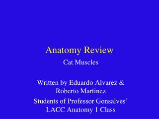 Anatomy Review