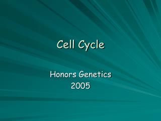 Cell Cycle