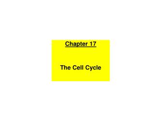 Chapter 17 The Cell Cycle