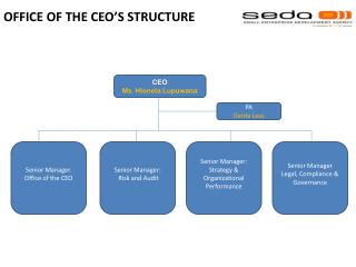OFFICE OF THE CEO’S STRUCTURE