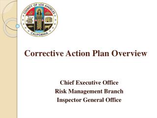 Corrective Action Plan Overview