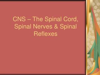 CNS – The Spinal Cord, Spinal Nerves &amp; Spinal Reflexes