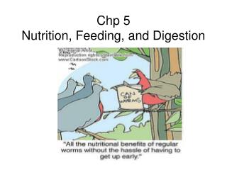 Chp 5 Nutrition, Feeding, and Digestion