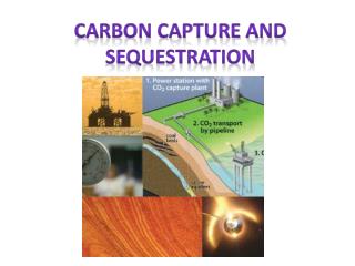 Carbon Capture and Sequestration