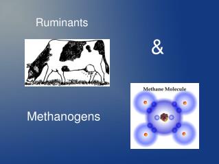 Methanogens