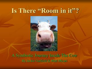 Is There “Room in it”?