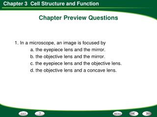 Chapter Preview Questions