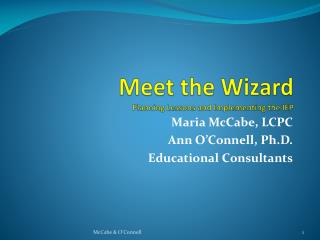 Meet the Wizard Planning Lessons and Implementing the IEP