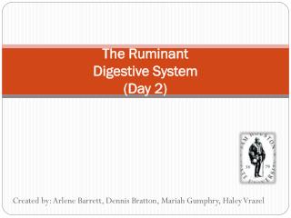 The Ruminant Digestive System (Day 2)