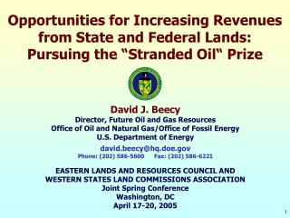 David J. Beecy Director, Future Oil and Gas Resources