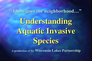 A production of the Wisconsin Lakes Partnership