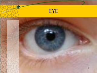 EYE