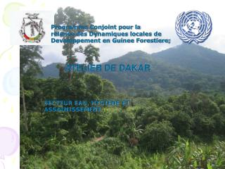 Programme Conjoint pour la relance des Dynamiques locales de Developpement en Guinee Forestiere;