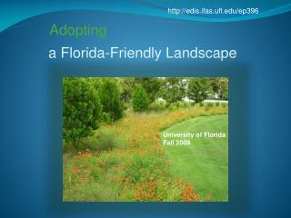 a Florida-Friendly Landscape