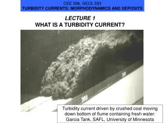LECTURE 1 WHAT IS A TURBIDITY CURRENT?