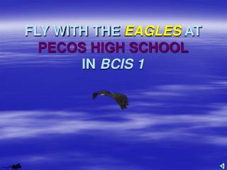 FLY WITH THE EAGLES AT PECOS HIGH SCHOOL IN BCIS 1