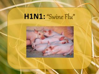 H1N1: “Swine Flu”