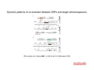 FMJ Jacobs et al. Nature 000 , 1-4 (2014) doi:10.1038/nature13760