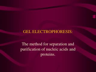 GEL ELECTROPHORESIS: