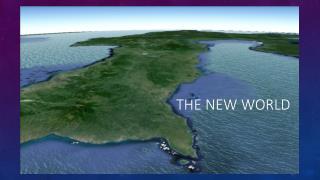 The New World