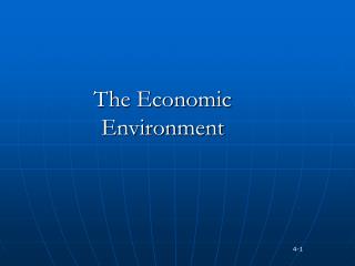 The Economic Environment