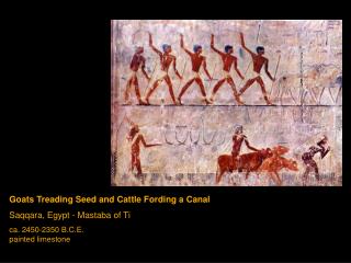 Goats Treading Seed and Cattle Fording a Canal Saqqara, Egypt - Mastaba of Ti ca. 2450-2350 B.C.E. painted limestone