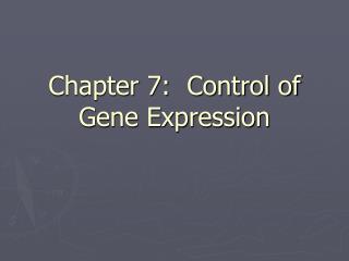 Chapter 7: Control of Gene Expression