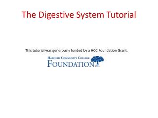 The Digestive System Tutorial