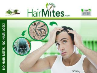 AGENDA FOR HAIR MITES TREATMENT