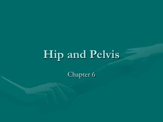 Hip and Pelvis