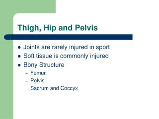 Thigh, Hip and Pelvis