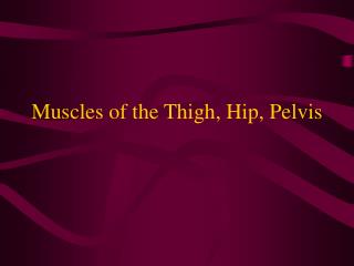 Muscles of the Thigh, Hip, Pelvis
