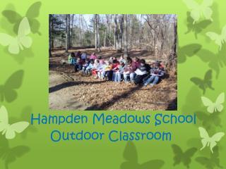 Hampden Meadows School