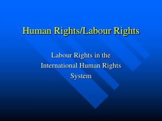 Human Rights/Labour Rights