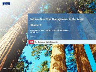 KPMG Information Risk Management (IRM) Audit Team – Scope of Work