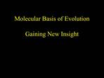 Molecular Basis of Evolution Gaining New Insight