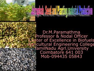 Dr.M.Paramathma Professor &amp; Nodal Officer Center of Excellence in Biofuels