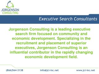 Executive Search Consultants