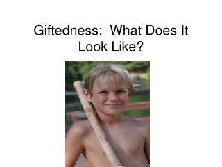 Giftedness: What Does It Look Like?