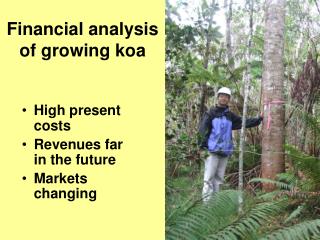 Financial analysis of growing koa