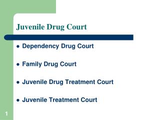 Juvenile Drug Court