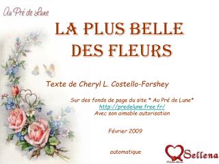 La plus belle des fleurs