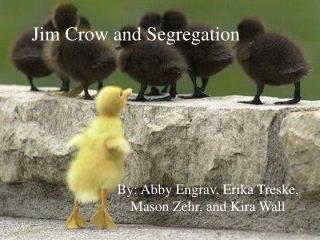 Jim Crow and Segregation