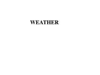 WEATHER