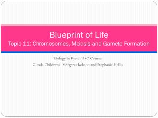 Blueprint of Life Topic 11: Chromosomes, Meiosis and Gamete Formation