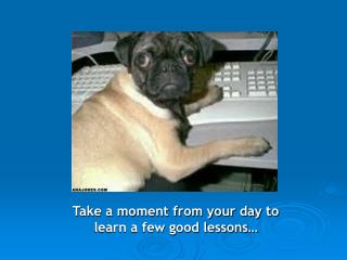 Take a moment from your day to learn a few good lessons…