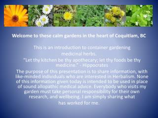 Welcome to these calm gardens in the heart of Coquitlam, BC